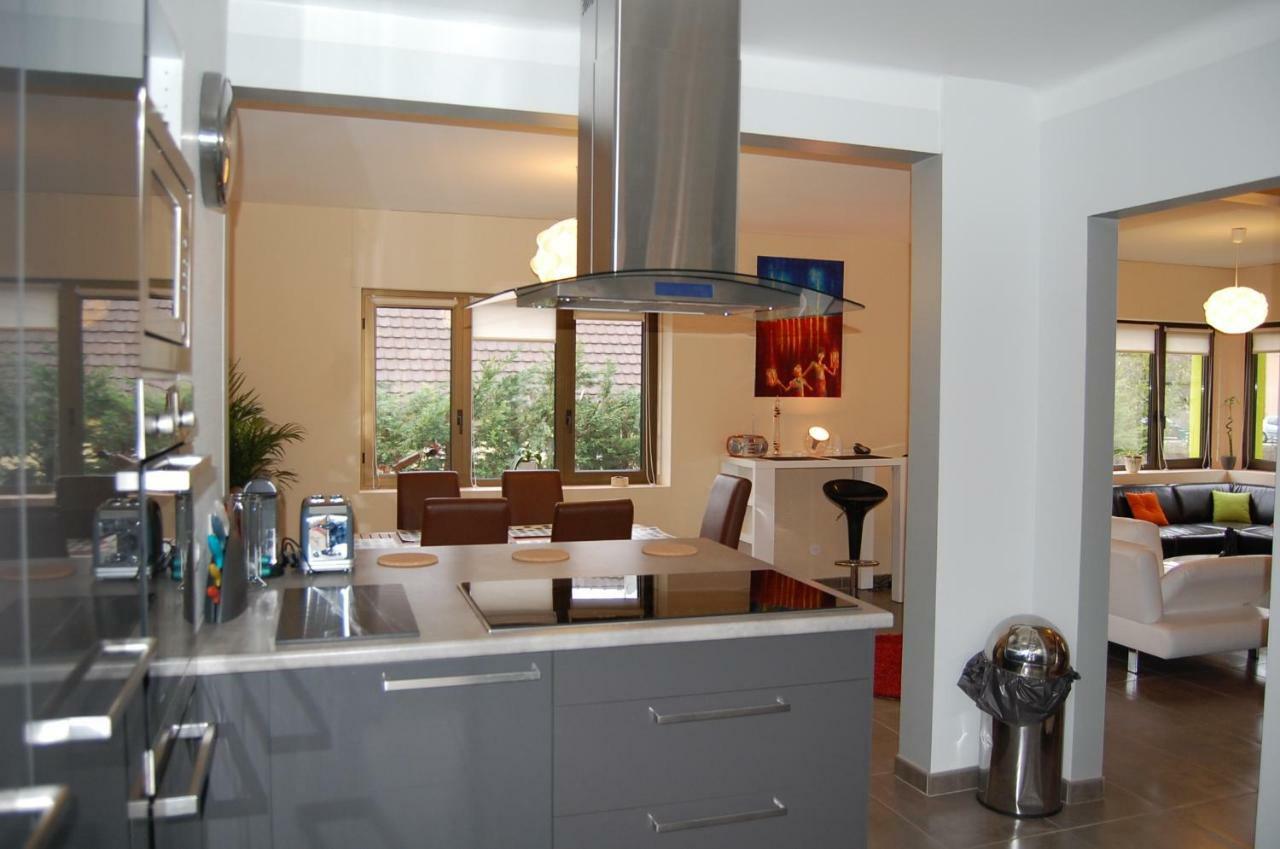 Villa Bonheur Illfurth Alsace 4 Chambres المظهر الخارجي الصورة
